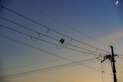 Low angle view of silhouette birds on power lines