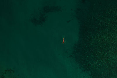 High angle view of man swimming in sea