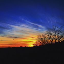 Silhouette trees against sky during sunset