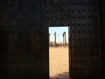 Trees and sand seen through doorway