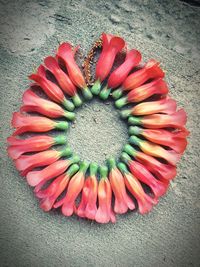 Close-up high angle view of flowers