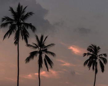 Low angle view of silhouette palm trees against romantic sky