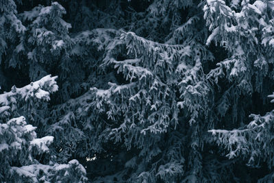 Full frame shot of snow covered landscape