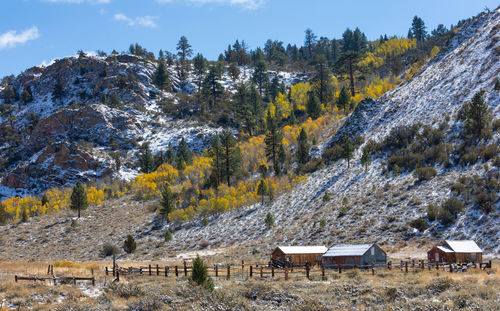 Old farm house surrounded by autumn colors and fresh snow