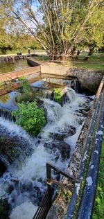 Scenic view of river flowing through plants