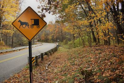 Amish alley 