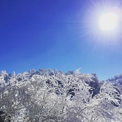 Low angle view of snow against blue sky