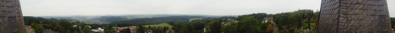 Panoramic shot of trees on landscape against sky