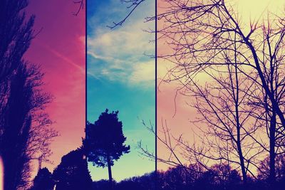 Low angle view of silhouette trees against sky during sunset