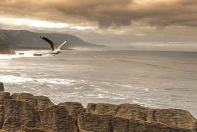 Scenic view of bird perching on sea against sky