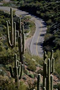 A curvy road leads through the arizona desert wilderness outside of phoenix.