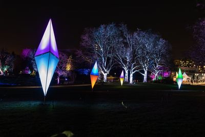 Firework display in park at night