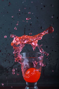 High angle view of red berries on water