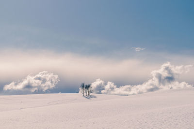 Scenic view of snow covered land against sky