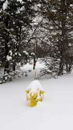 Yellow flower tree in snow