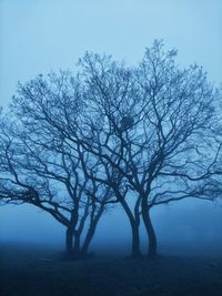 Bare tree on landscape against sky