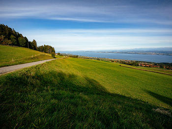 Scenic view of grassy field against sky