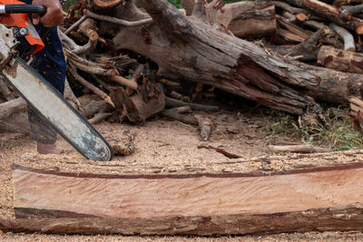 High angle view of wood working on log