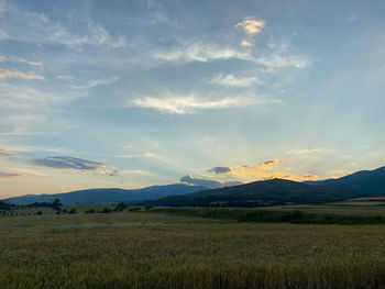 Scenic view of field against sky during sunset