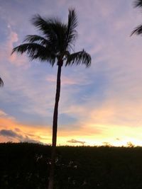 Silhouette palm trees against sky during sunset
