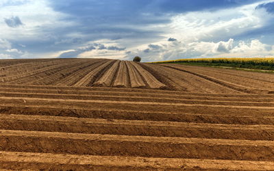 Uneven lines in a field by day