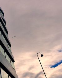 Low angle view of bird flying against sky