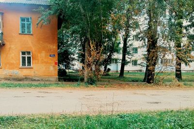 View of building with trees in foreground