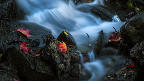 High angle view of water flowing through rocks