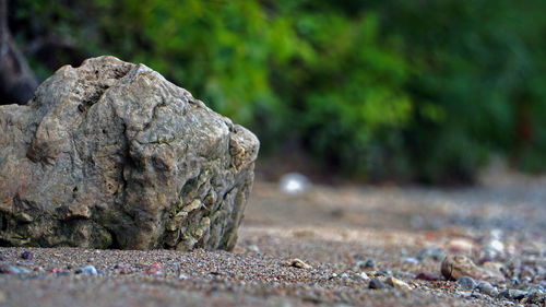 Close-up of stone on rock