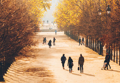 People walking on footpath during autumn