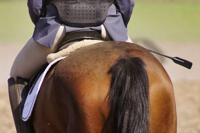 Rear view of man riding horse during fuchsjagd 