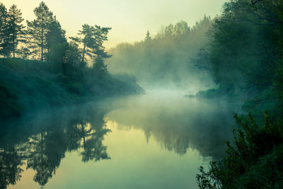 A beautiful spring landscape of a river valley with morning mist. springtime scenery of a river..