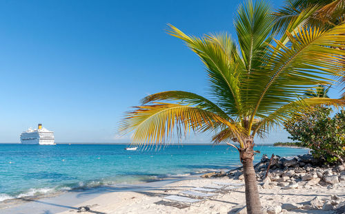 Palm tree by sea against clear blue sky