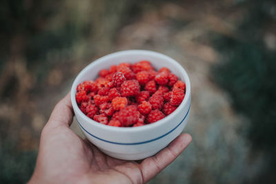 Close-up of hand holding strawberries