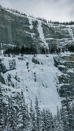 A frozen waterfall in banff national park