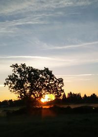 Silhouette trees on landscape against sky at sunset