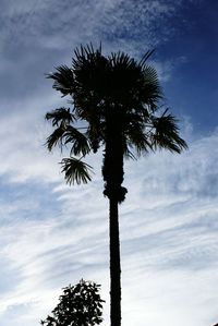 Low angle view of silhouette tree against sky