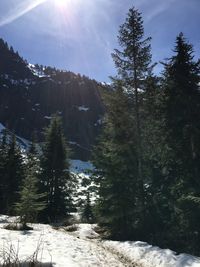 Scenic view of snow covered field against sky