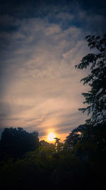 Silhouette trees against sky during sunset