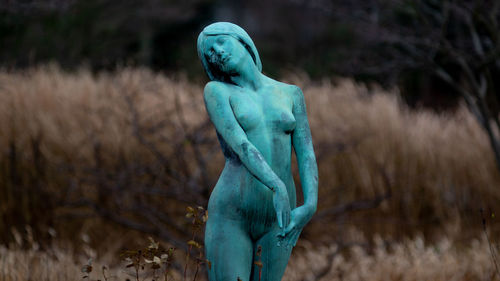 Close-up of blue statue on field