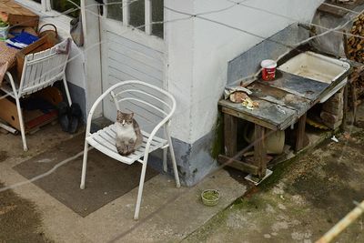 High angle view of cat sitting on chair by home