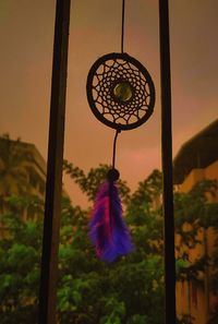 Close-up of purple flower hanging on field against sky