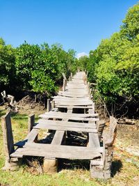 Footpath amidst trees on field against sky