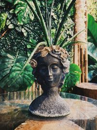 Snake plant in a wooden head planter