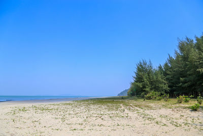 Scenic view of beach against clear blue sky