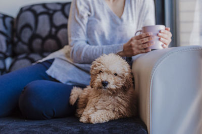 Midsection of woman with dog sitting