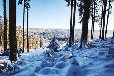 Scenic view of landscape against sky during winter