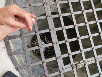 High angle view of person holding glass container