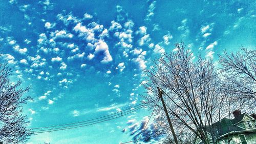 Low angle view of trees against blue sky