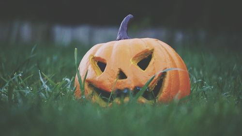 Close-up of pumpkin on grass during halloween
